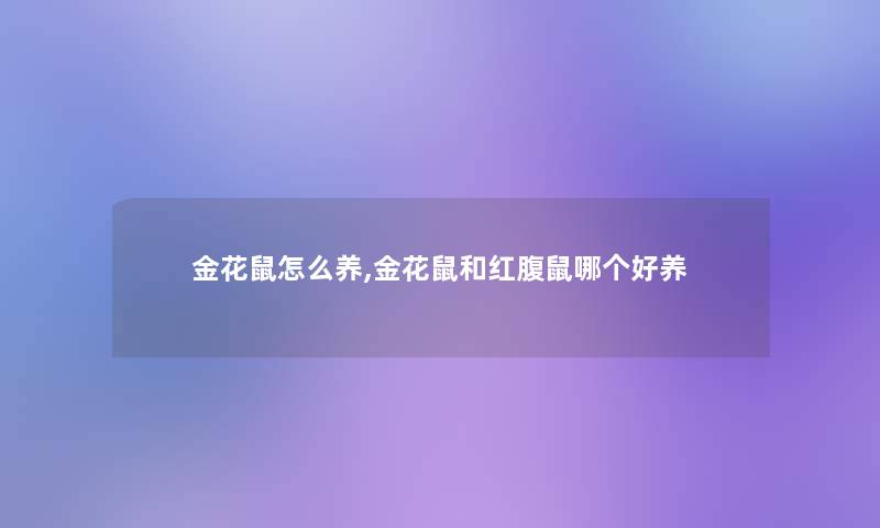 金花鼠怎么养,金花鼠和红腹鼠哪个好养