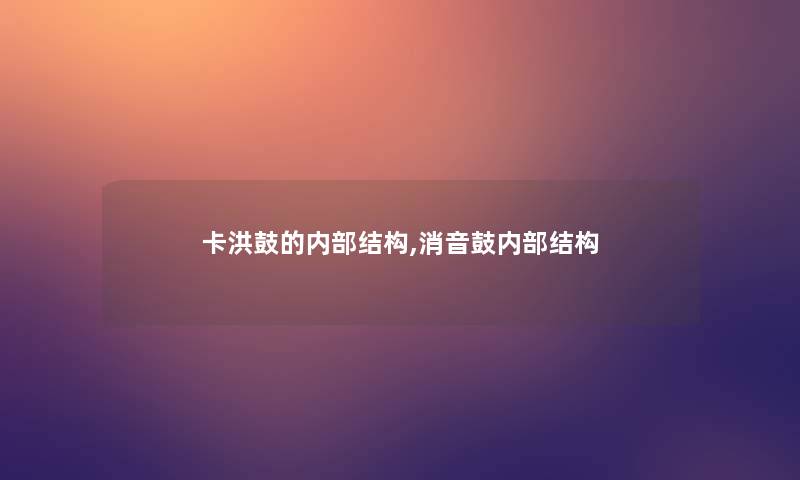 卡洪鼓的内部结构,消音鼓内部结构