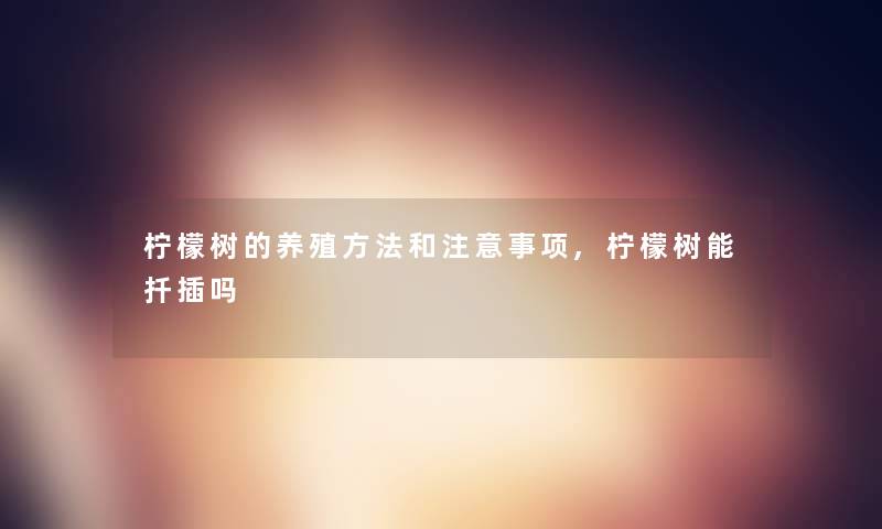 柠檬树的养殖方法和注意事项,柠檬树能扦插吗