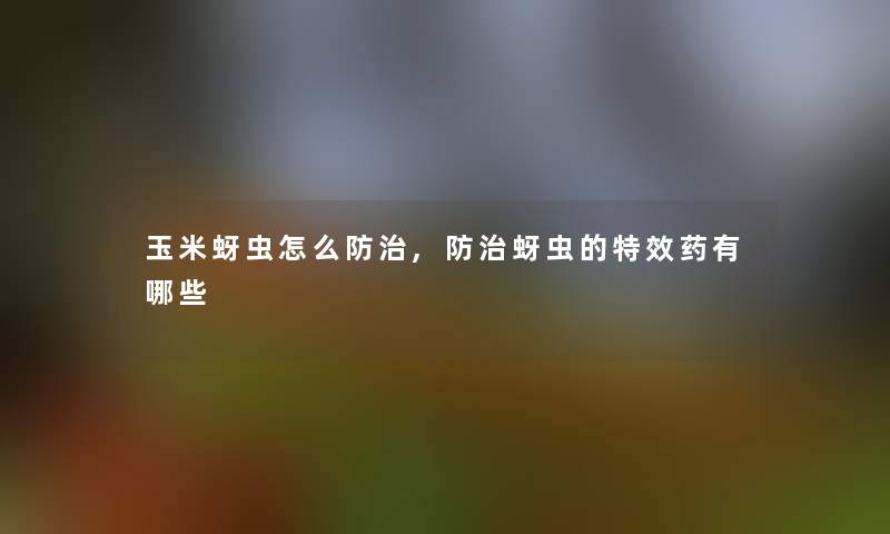 玉米蚜虫怎么防治,防治蚜虫的特效药有哪些 玉米蚜虫怎么防治,防治蚜虫的特效药有哪些