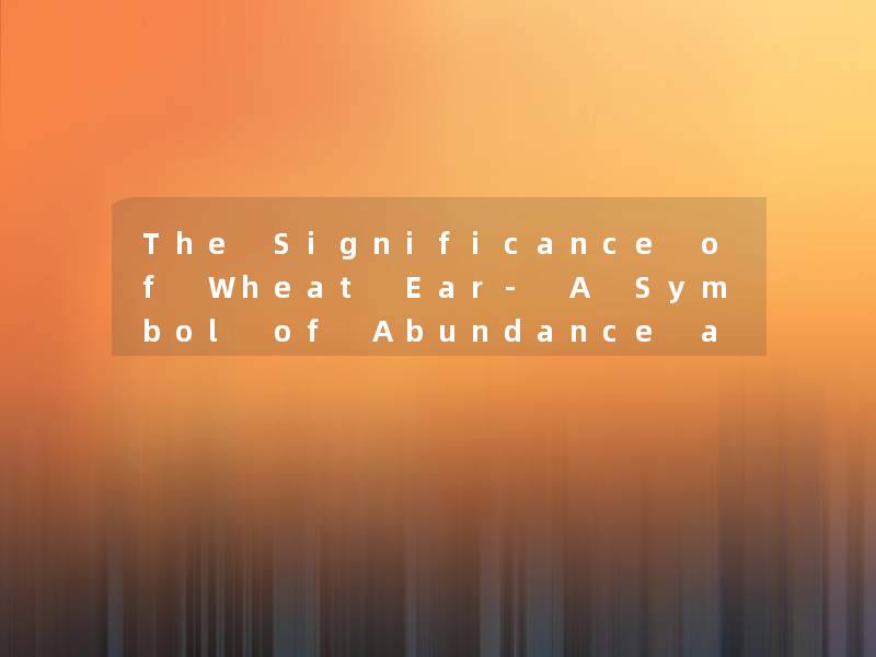 The Significance of Wheat Ear- A Symbol of Abundance and Prosperity The Significance of Wheat Ear- A Symbol of Abundance and Prosperity