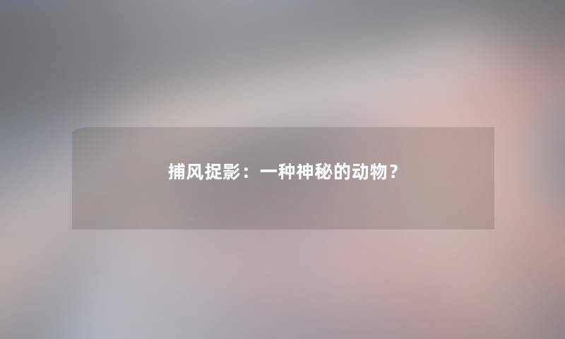 捕风捉影：一种神秘的动物？