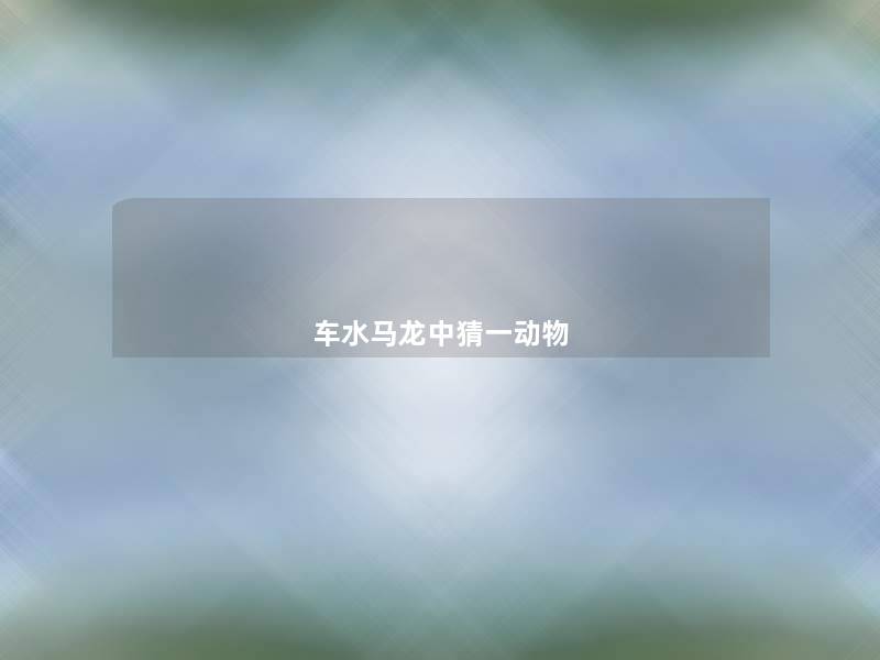 车水马龙中猜一动物