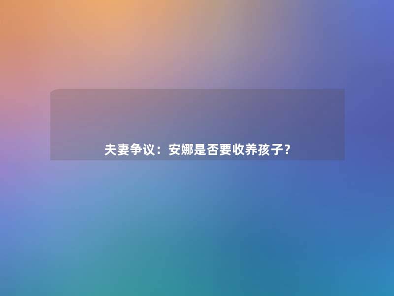 夫妻争议：安娜是否要收养孩子？
