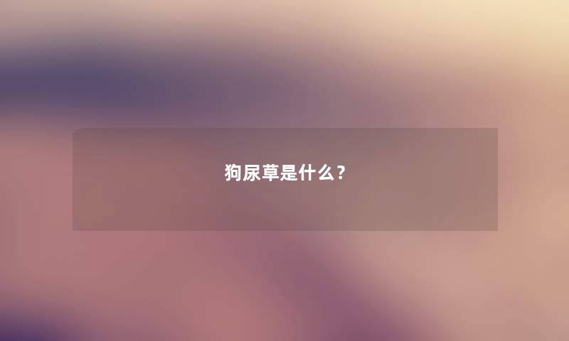 狗尿草是什么? 狗尿草是什么?