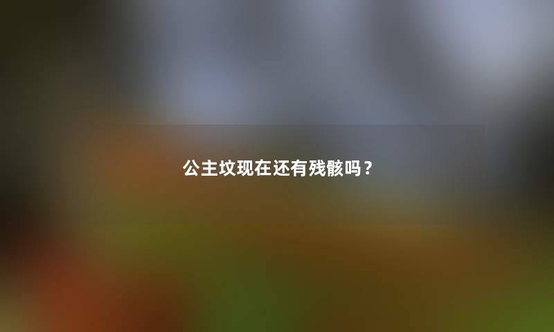 公主坟现在还有残骸吗？