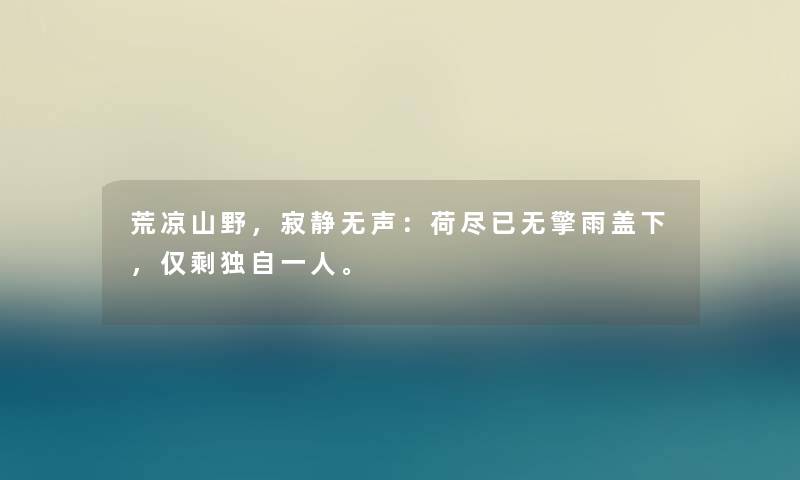 荒凉山野，寂静无声：荷尽已无擎雨盖下，仅剩独自一人。