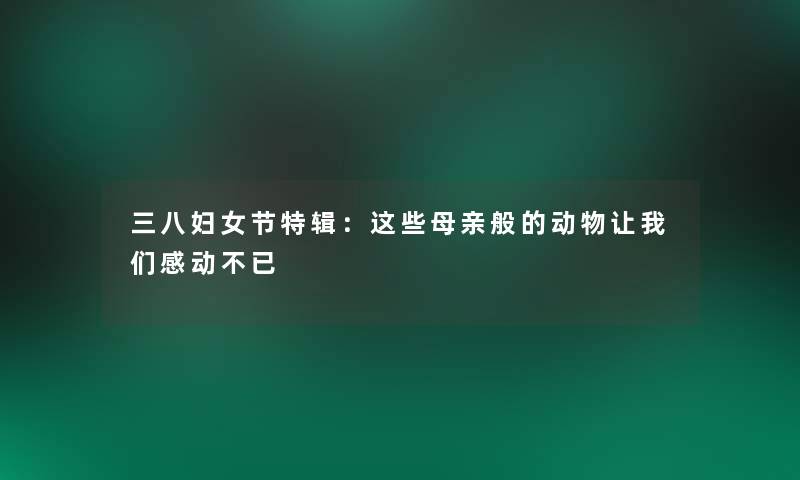 三八妇女节特辑：这些母亲般的动物让我们感动不已