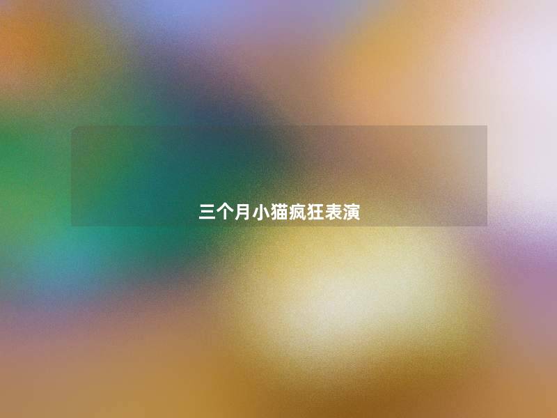 三个月小猫疯狂表演