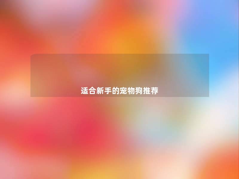适合新手的宠物狗推荐