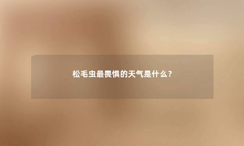 松毛虫畏惧的天气是什么？