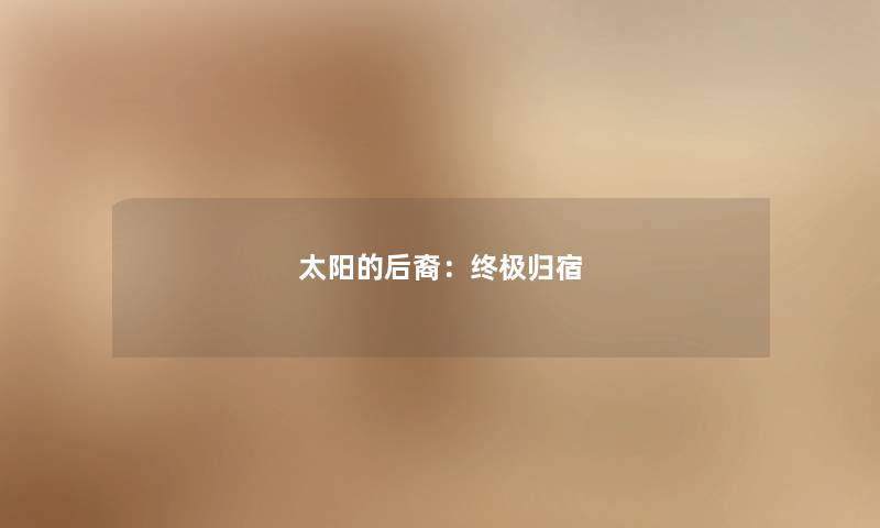 太阳的后裔：终极归宿
