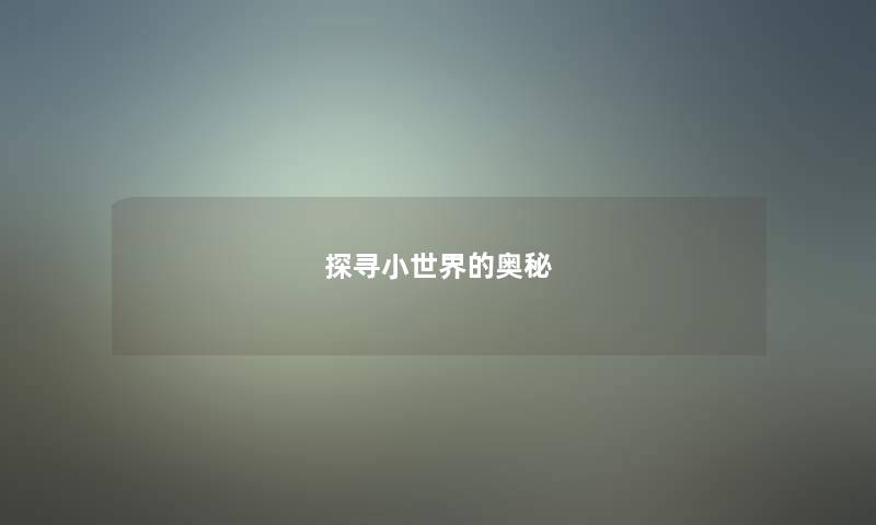 探寻小世界的奥秘