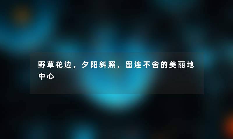 野草花边,夕阳斜照,留连不舍的美丽地中心 野草花边,夕阳斜照,留连不舍的美丽地中心