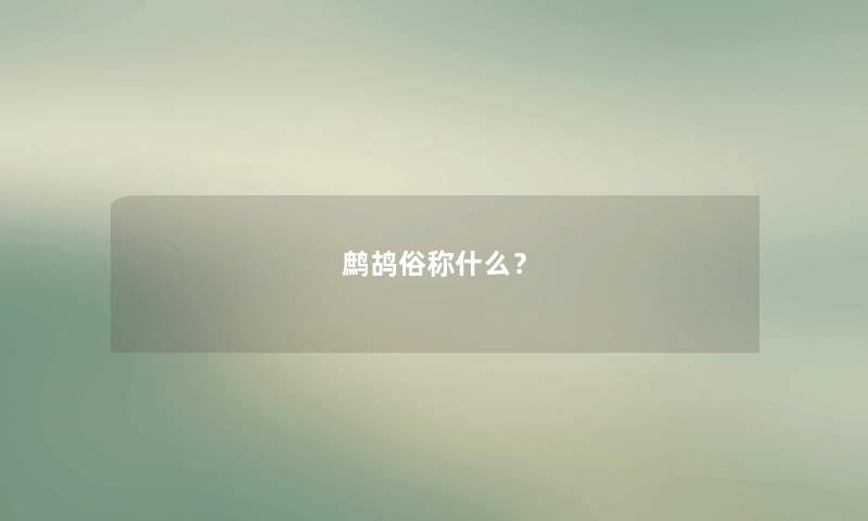鹧鸪俗称什么？