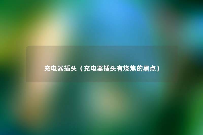 充电器插头(充电器插头有烧焦的黑点) 充电器插头(充电器插头有烧焦的黑点)