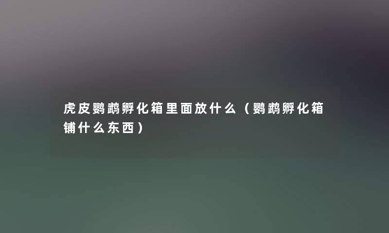 虎皮鹦鹉孵化箱里面放什么（鹦鹉孵化箱铺什么东西）