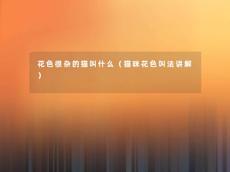 花色很杂的猫叫什么(猫咪花色叫法讲解) 花色很杂的猫叫什么(猫咪花色叫法讲解)