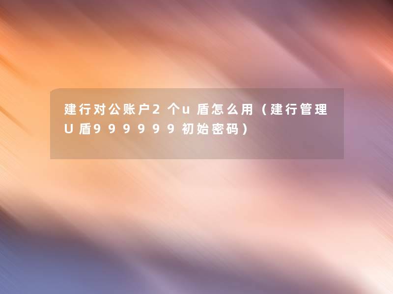 建行对公账户2个u盾怎么用(建行管理U盾999999初始密码) 建行对公账户2个u盾怎么用(建行管理U盾999999初始密码)