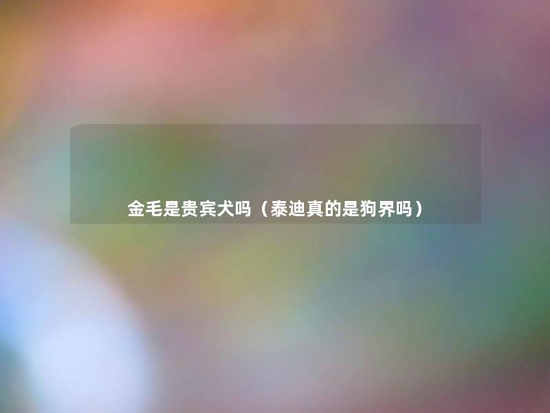 金毛是贵宾犬吗(泰迪真的是狗界吗) 金毛是贵宾犬吗(泰迪真的是狗界吗)