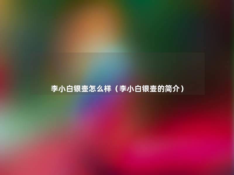 李小白银壶怎么样（李小白银壶的简介）