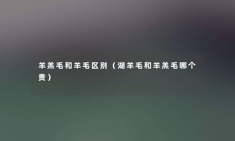 羊羔毛和羊毛区别（湖羊毛和羊羔毛哪个贵）