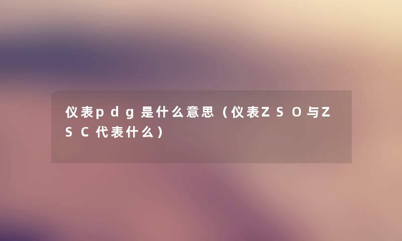 仪表pdg是什么意思（仪表ZSO与ZSC代表什么）