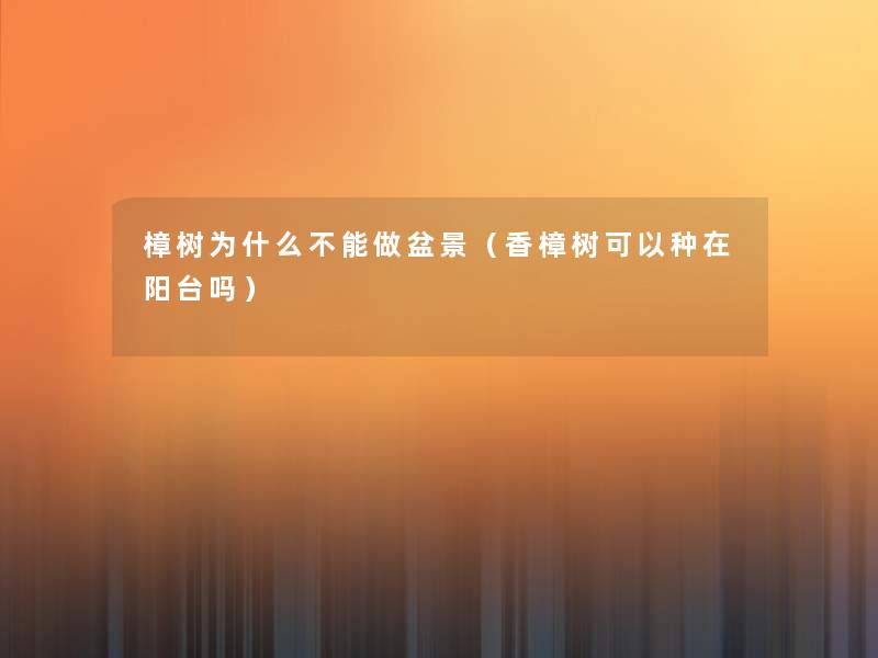 樟树为什么不能做盆景(香樟树可以种在阳台吗) 樟树为什么不能做盆景(香樟树可以种在阳台吗)