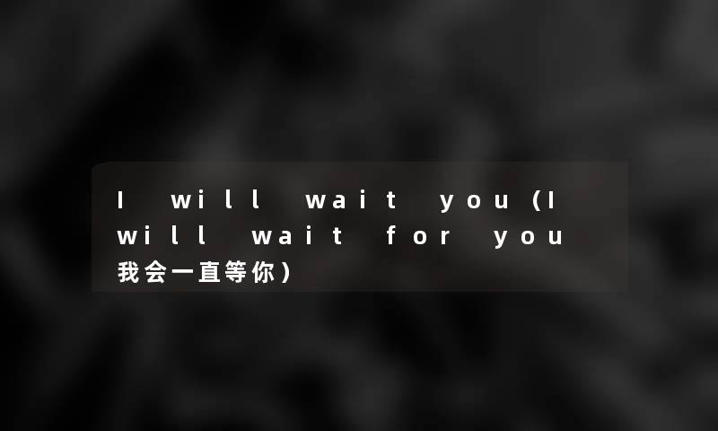 I will wait you（I will wait for you 我会一直等你）