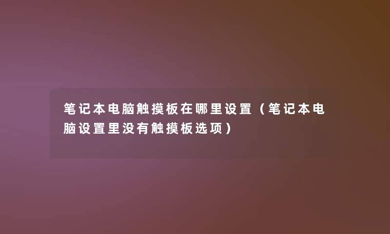 笔记本电脑触摸板在哪里设置（笔记本电脑设置里没有触摸板选项）