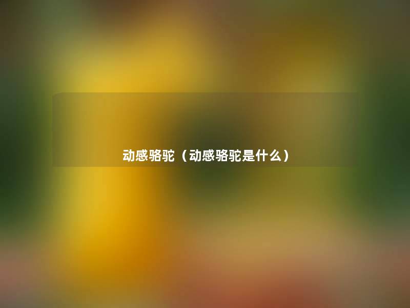 动感骆驼（动感骆驼是什么）