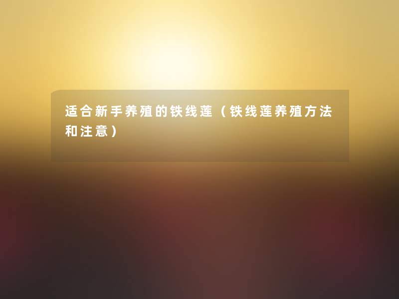 适合新手养殖的铁线莲（铁线莲养殖方法和注意）