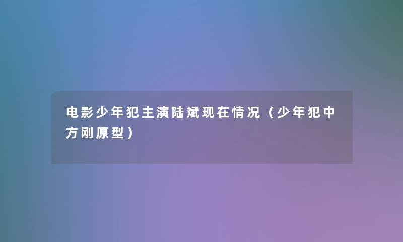 电影少年犯主演陆斌现在情况（少年犯中方刚原型）