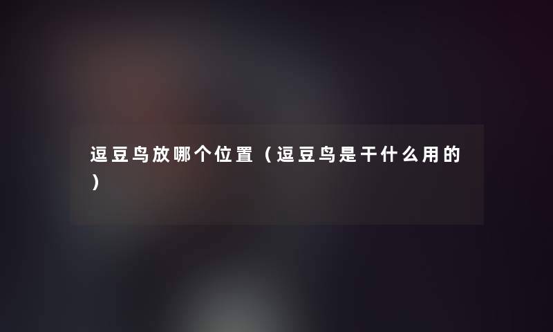 逗豆鸟放哪个位置（逗豆鸟是干什么用的）