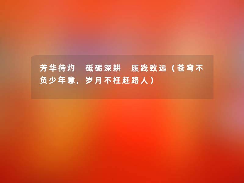 芳华待灼 砥砺深耕 履践致远（苍穹不负少年意,岁月不枉赶路人）