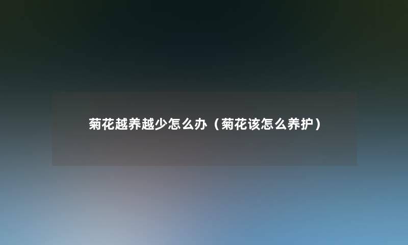 菊花越养越少怎么办(菊花该怎么养护) 菊花越养越少怎么办(菊花该怎么养护)