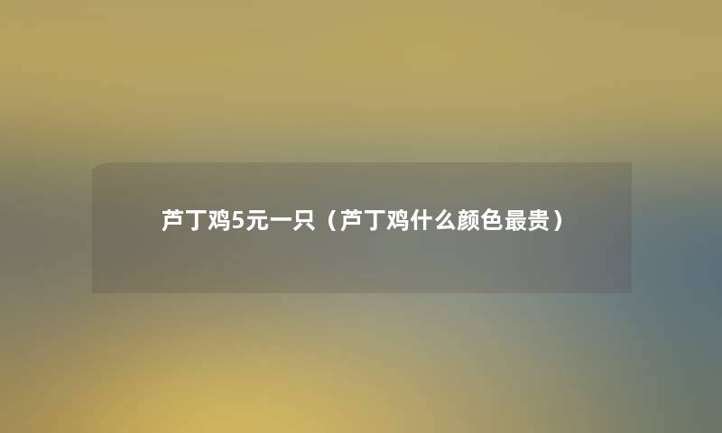 芦丁鸡5元一只(芦丁鸡什么颜色贵) 芦丁鸡5元一只(芦丁鸡什么颜色贵)