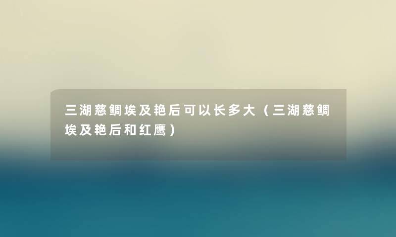 三湖慈鲷埃及艳后可以长多大(三湖慈鲷埃及艳后和红鹰) 三湖慈鲷埃及艳后可以长多大(三湖慈鲷埃及艳后和红鹰)