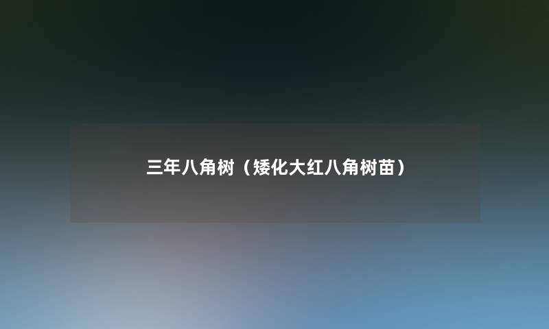 三年八角树(矮化大红八角树苗) 三年八角树(矮化大红八角树苗)