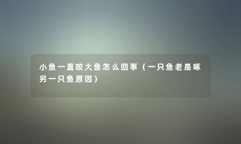 小鱼一直咬大鱼怎么回事(一只鱼老是啄另一只鱼原因) 小鱼一直咬大鱼怎么回事(一只鱼老是啄另一只鱼原因)