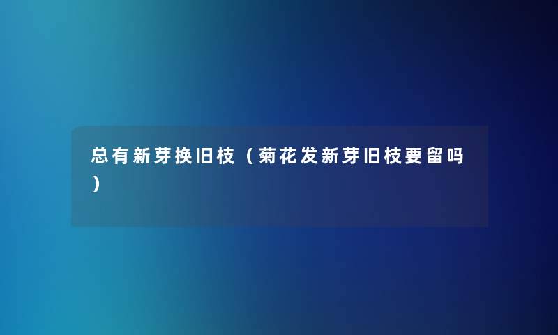 总有新芽换旧枝(菊花发新芽旧枝要留吗) 总有新芽换旧枝(菊花发新芽旧枝要留吗)
