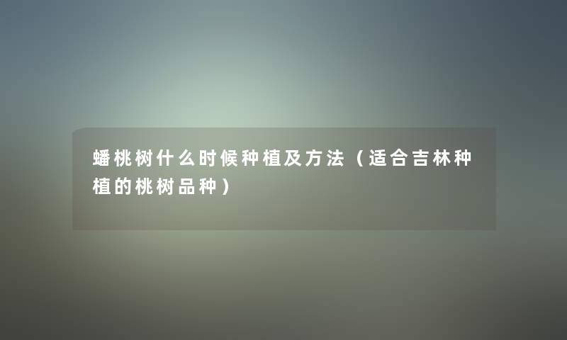 蟠桃树什么时候种植及方法(适合吉林种植的桃树品种) 蟠桃树什么时候种植及方法(适合吉林种植的桃树品种)