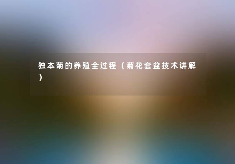 独本菊的养殖全过程(菊花套盆技术讲解) 独本菊的养殖全过程(菊花套盆技术讲解)