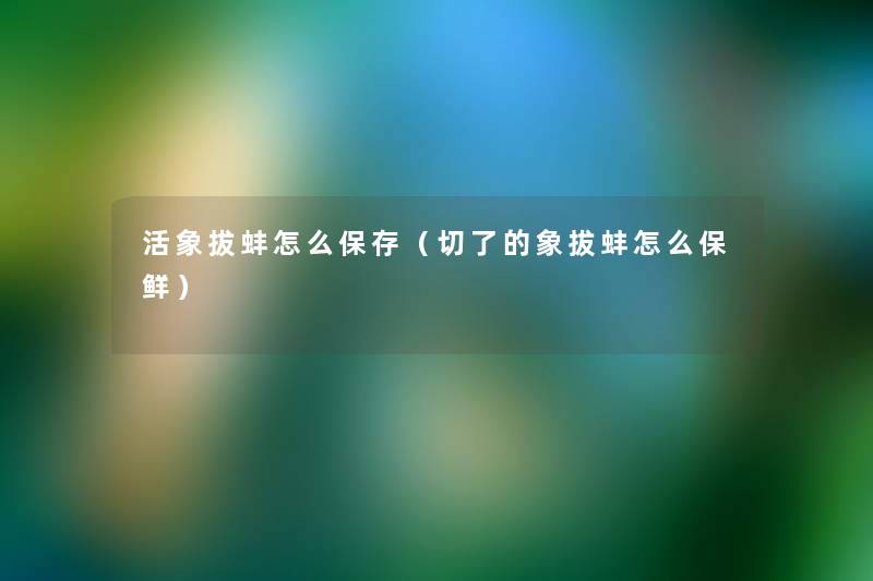 活象拔蚌怎么保存（切了的象拔蚌怎么保鲜）