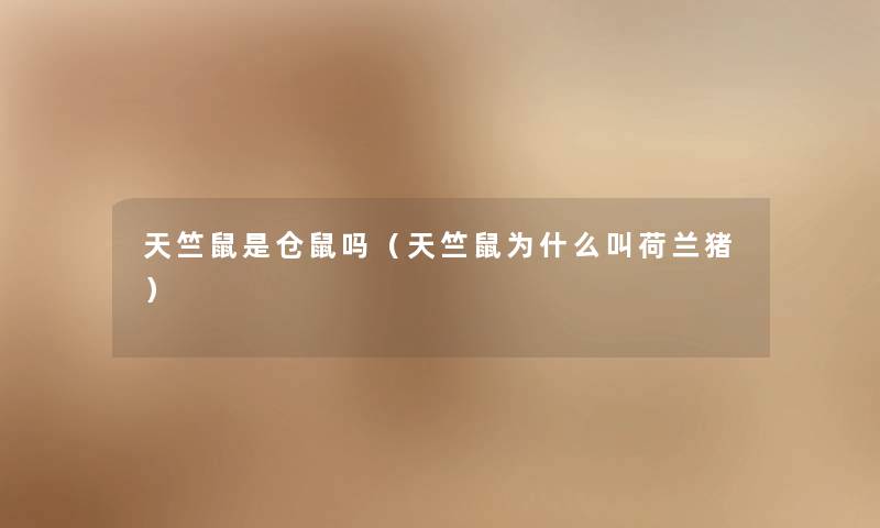 天竺鼠是仓鼠吗(天竺鼠为什么叫荷兰猪) 天竺鼠是仓鼠吗(天竺鼠为什么叫荷兰猪)