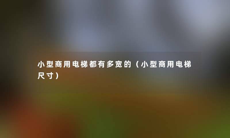 小型商用电梯都有多宽的(小型商用电梯尺寸) 小型商用电梯都有多宽的(小型商用电梯尺寸)