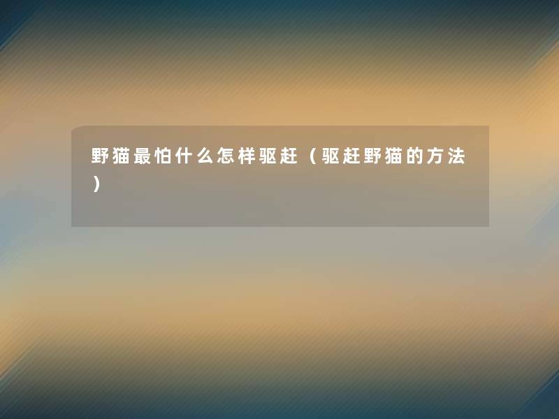 野猫怕什么怎样驱赶(驱赶野猫的方法) 野猫怕什么怎样驱赶(驱赶野猫的方法)