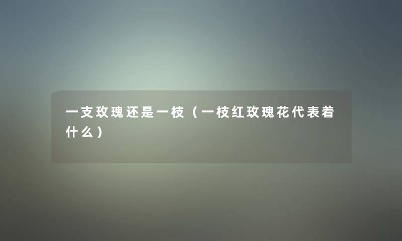 一支玫瑰还是一枝(一枝红玫瑰花代表着什么) 一支玫瑰还是一枝(一枝红玫瑰花代表着什么)