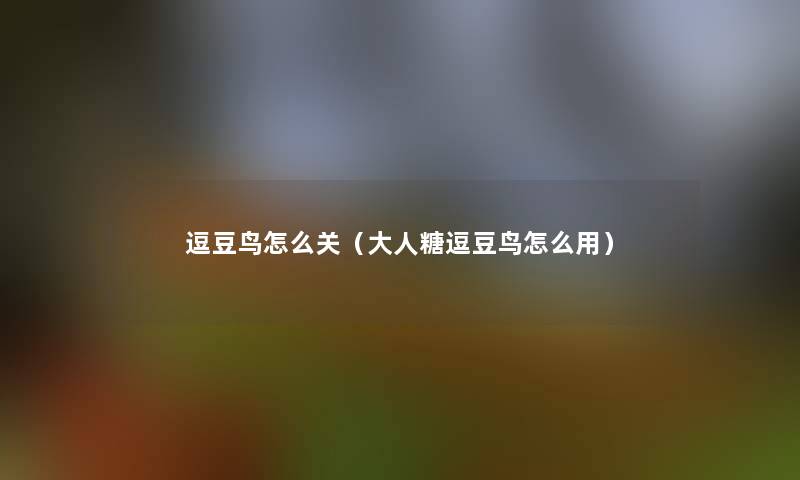 逗豆鸟怎么关(大人糖逗豆鸟怎么用) 逗豆鸟怎么关(大人糖逗豆鸟怎么用)