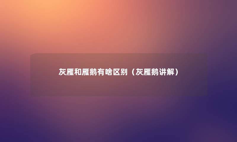 灰雁和雁鹅有啥区别(灰雁鹅讲解) 灰雁和雁鹅有啥区别(灰雁鹅讲解)